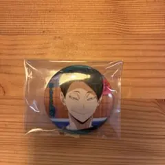 ダイショー 缶バッジ 直径約5cm