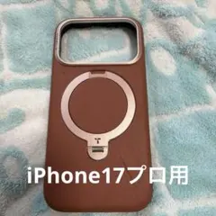 Item thumbnail for item 661dcba5-1a13-4330-8ce3-a1ac66e385e1