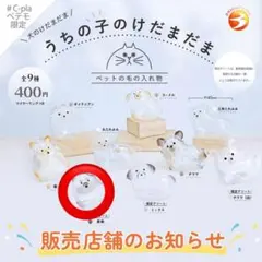 うちの子のけだまだま　犬　黒柴