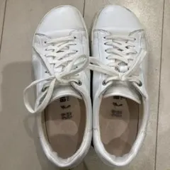 miu miu風ナッパレザー スニーカー 厚底 ロゴ パデッド - メルカリ