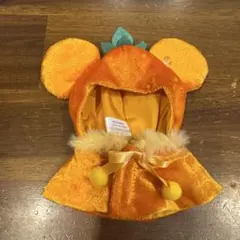 ディズニー　シークレットポンチョ　フルーツ　オレンジ