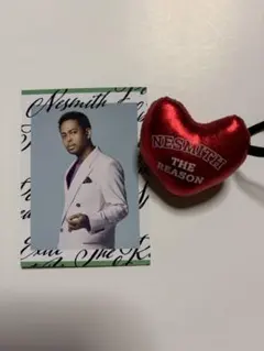 NESMITH THE REASON ハート型ヘアゴム フォトカードセット