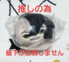 蘆屋道満 ぬいぐるみ ○ Fate grand order 蘆屋道満 30cm 着せ替えぬいぐるみ - メルカリ