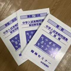 駿台夏期講習数学特講（IIIC）2024 米村先生全問解説板書・補助