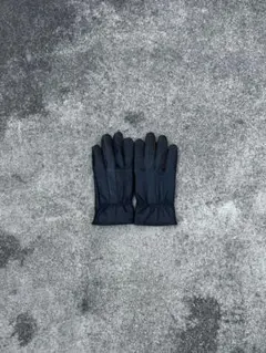 Item thumbnail for item 38e4c273-0439-44e5-ab0c-b5032d3f3edc