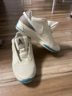 NIKE Ja 1 EP 25cm バッシュ Ja1 ジャ1