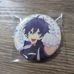 カラフルピーチ からぴち サマーランド サマラン 缶バッジ なおきり