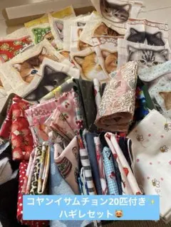 の*り様 豪華！コヤンイサムチョン20匹付き　はぎれセット