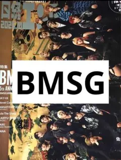 BMSG 切り抜き　日経エンタテインメント