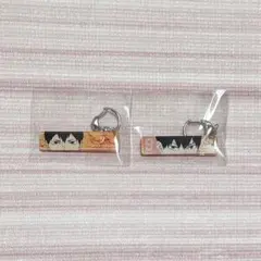 ハイキュー 目ヂカラアクリルキーホルダー 影山飛雄 セット