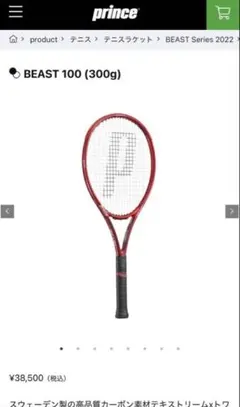 緊急値下げ prince BEAST100 G3 300g 2025年最新】prince beast100の