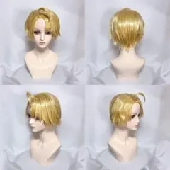 卯月コウ ウィッグ コスプレ にじさんじ - メルカリ