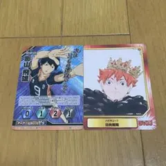 日向翔陽 影山飛雄 カードセット