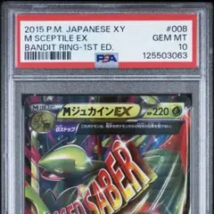 2025年最新】Mジュカイン psa10の人気アイテム - メルカリ