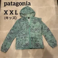 patagonia フード付きジャケット