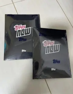 Item thumbnail for item a8294b7e-5e84-427a-a6da-733cb7a6f6e4