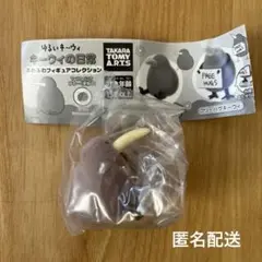 ゆるいキーウィ キーウィの日常 おすわりキーウィ ガチャ