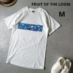 FRUIT OF THE LOOM　プリントtシャツ　Mサイズ　アメリカ古着