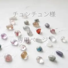 チュンチュン様 専用ページですꕤ︎︎