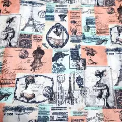 【新品・未使用】Burleigh ビクトリアンチンツ 19cmプレート　2枚組 イギリス食器 Burleigh グリーンアジアティックフェザンツ パスタ