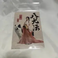 映画 八犬伝 前売り券特典ポストカード 土屋太鳳 伏姫