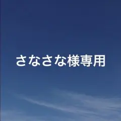 さなさな様 リクエスト 2点 まとめ商品