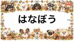 専用