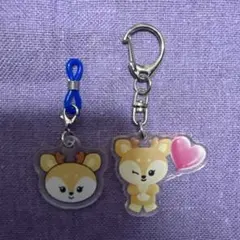 ミニティーンSEVENTEEN ジョシュアめじるしチャーム&キーホルダーセット