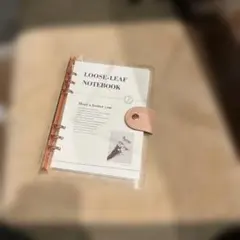 Item thumbnail for item 1036f99b-1559-4356-97fa-c86fb3a1a406