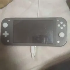 Nintendo Switch Lite グレー 本体のみ