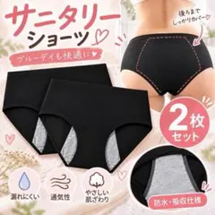 2枚セット サニタリーショーツ L 生理用 吸水 防水 黒 深履き 夜用