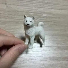 ミニチュアプラネット 北海道犬 犬 フィギュアのサムネイル