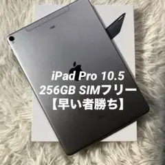 【完動品】iPad Pro 10.5 256GB SIMフリー【すぐ発送】
