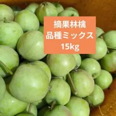 摘果りんご　加工用サンふじ林檎他　約15キロ 送料込み 64のサムネイル