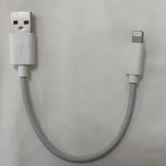 エレコム USB-A to Lightning 0.1mケーブル 充電コード
