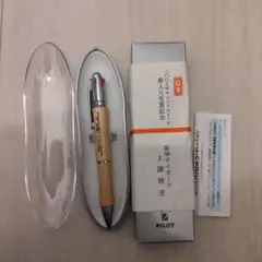 Item thumbnail for item 646495a1-57ae-4b6a-b706-aa5af4a250f7