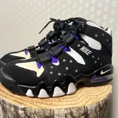 NIKE AIR MAX 2 CB '94 305440-006 エアマックス