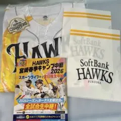 5点ソフトバンクホークス Hawks ハイグレードオリジナルユニフォーム L