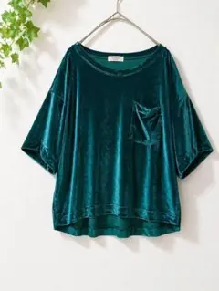 Té chichi TERRASSE ベロア半袖トップス 緑 フリーサイズ 上品のサムネイル