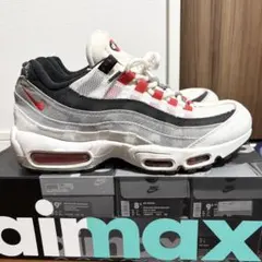 Nike Air Max 95 QS Ume Blossoms 赤グラデ 28 - メルカリ