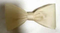 アレクサンドルドゥパリ　バレッタ