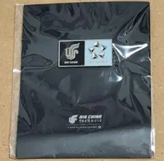 2025年最新】スターアライアンスコレクションの人気アイテム - メルカリ