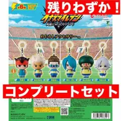 イナズマイレブン めじるしアクセサリー 英雄たちのヴィクトリーロード コンプ
