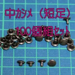 Item thumbnail for item 3c1f68a2-948b-46e1-a9ba-d7baaad65dcb