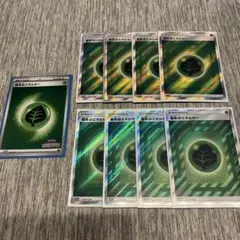 ポケモンカード 基本草エネルギー プロモ 171/SM-P ファミリーマート