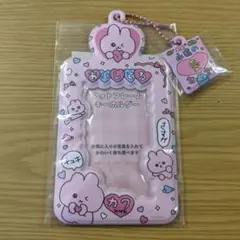 チェゴシム トレカケース うさゴシム