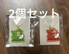 ポケモン　30周年　ロゴマスコット　ポケチャーム　　　　　　ヒコザル　ナエトル
