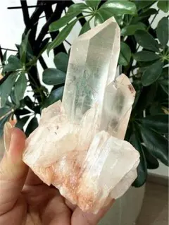 n.♡様 リクエスト 5点 まとめ商品