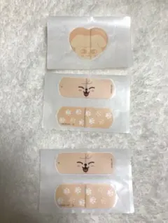 チャームエイド　パピーム