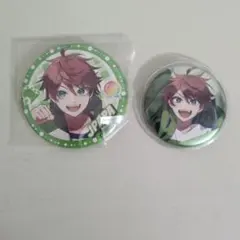 カラフルピーチ　じゃぱぱ　缶バッチ2個セット ウィンターフェア、オータムフェア